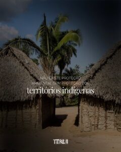 NÃO EXISTE PROTEÇÃO AMBIENTAL SEM PROTEÇÃO DOS territórios indígenas.